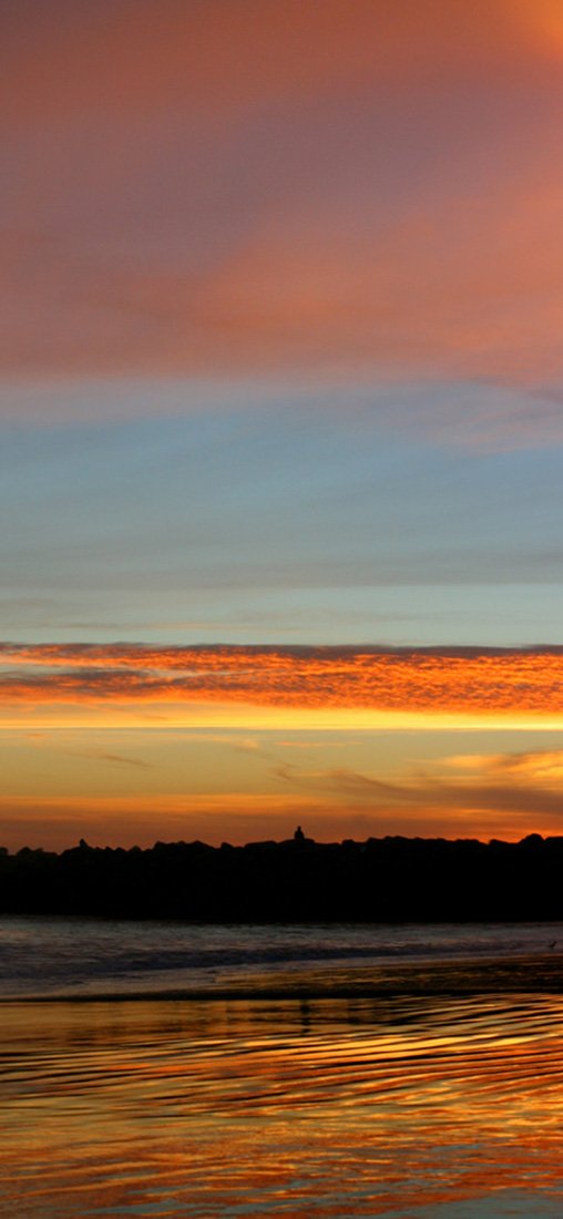 PeelitStickit, Beautiful Nature Wall Murals, ID-1037, vinyl