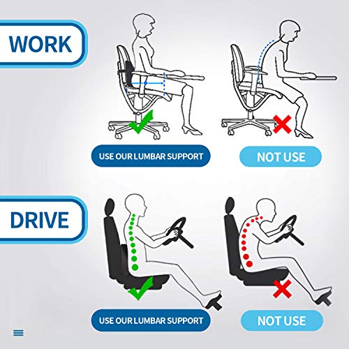 LARROUS 100 Memory Foam Lumbar Back Support Pillow for Car seat,Lower