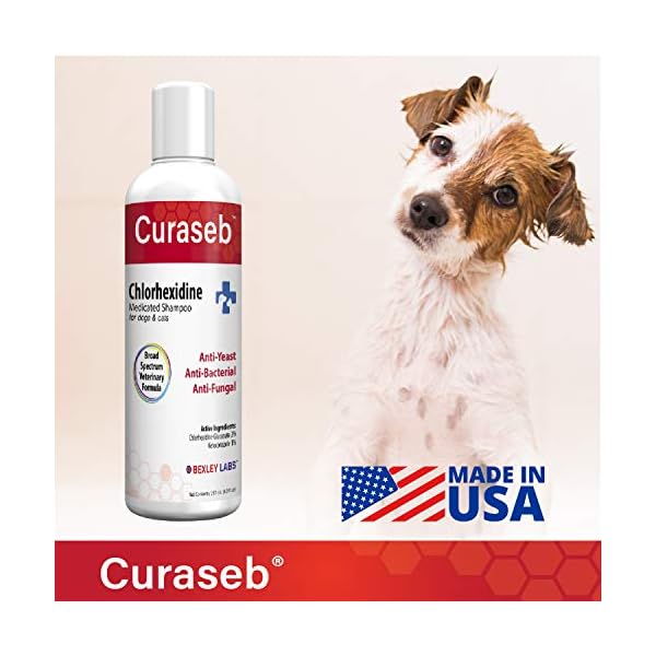 curaseb ingredients