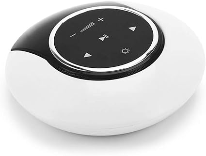 ray portable speaker