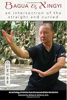 bagua quan foundation training