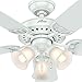Hunter Stonington 46 in. Indoor White Ceiling Fan