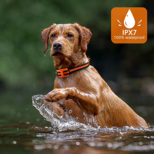 TWODEER Dog Training Collar, IPX7 Waterproof Shock Collars for Dog with