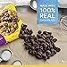 Nestle Toll House Milk Chocolate Chip Morsels 23-Oz. Bag