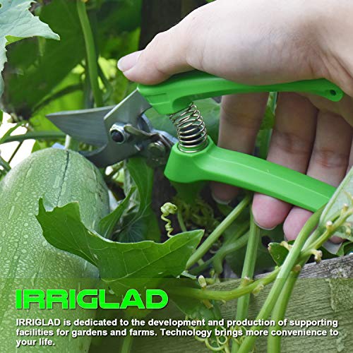 IRRIGLAD 130 Professional Pruning Shears, Gardening Scissors, Hand Pruners, Garden Clippers, Stainless Steel Blades, 7" Heavy Duty Tree Trimmers, Safety Lock