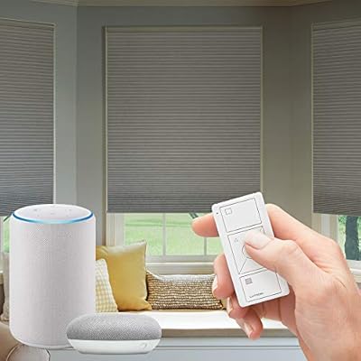 lutron shades alexa