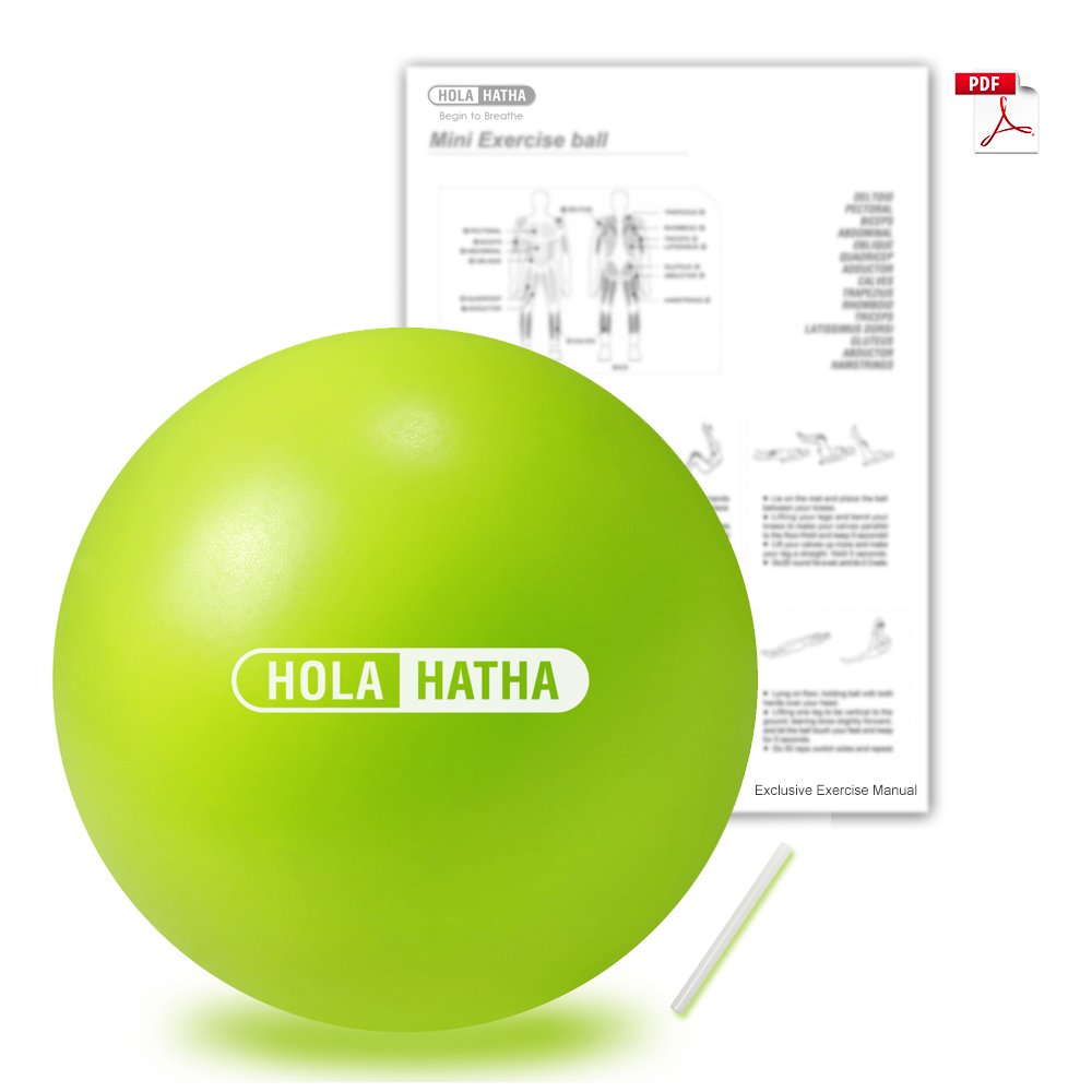 barre ball core exercises