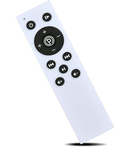 Amazon.com: ZWP Replacement Remote Control for AXV MINI FR88, HTM