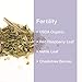 Pink Stork Fertility Tea: Unsweet Mint Tea, USDA Organic Loose Leaf in Biodegradable Sachets, Hormone Balance, and Cycle Regulation -Support Fertility Naturally, Drug-Free -30 Cups, Caffeine Free