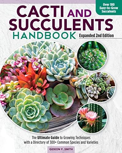 Essential Succulents: The Beginner's Guide: Shelf, Ken, Weill