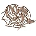 Antiqued Copper Plated Curved Tube Noodle Beads 15mm (50 Beads)