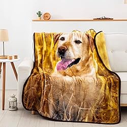 Northwest Magic Hour Raschel Throw Blanket, 50" x