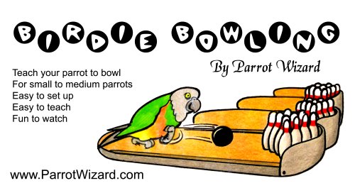 Birdie Bowling Trick Training Prop