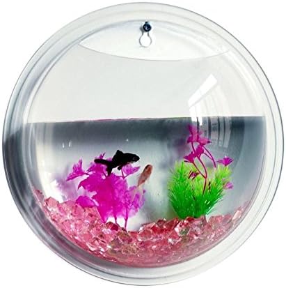 Clear acrylic aquarium Wall hanging Spherical size 15x8 cm