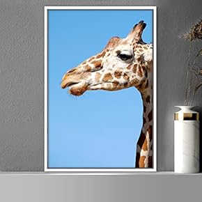 signwin Framed Canvas Wall Art Giraffe Animals Expressive...