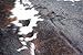 rodeo Genuine Cowhide Rug - Dark Tricolor Leather Hide for Living Room, Bedroom, & Western Home Decor - Natural 6'x8' Real Cowhide Area Rug - Extra Large Size Cowhide Rugs