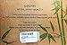 Organic Bamboo Washcloths. Gentle For Sensitive Skin- Acne, Rosacea and Eczema. Superior Softness For Babies. Antibacterial For Makeup Removal. Highly Absorbent Cloths (6-pack) presented by BambooFy