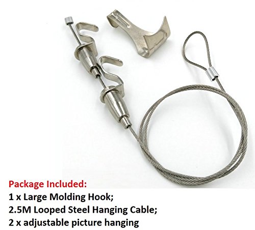Chris-Wang Professional Art Hanging System Gallery Large Picture Display Kit -- 2.5M Twister Stainless Steel Cable, 1 Molding Hook, Adjustable Photo Hanging Hook(2-Hook) Included