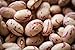 Rancho Gordo Cranberry Heirloom Beans, Four Pack