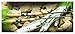 St. Croix Rods Avid Series Spinning Rod