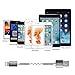 3 Pack Cell Phone Cable (Lightning Purple)