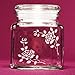 Armour Products Over N Over Glass Etching Stencil, 5-Inch by 8-Inch, Roses