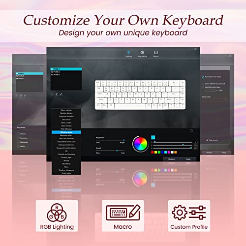 RisoPhy RGB Wireless Keyboard,60 Mechanical Gaming Keyboard with Metal