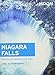 Moon Niagara Falls: Including the Canadian & U.S. Sides (Travel Guide) by Joel A. Dombrowski