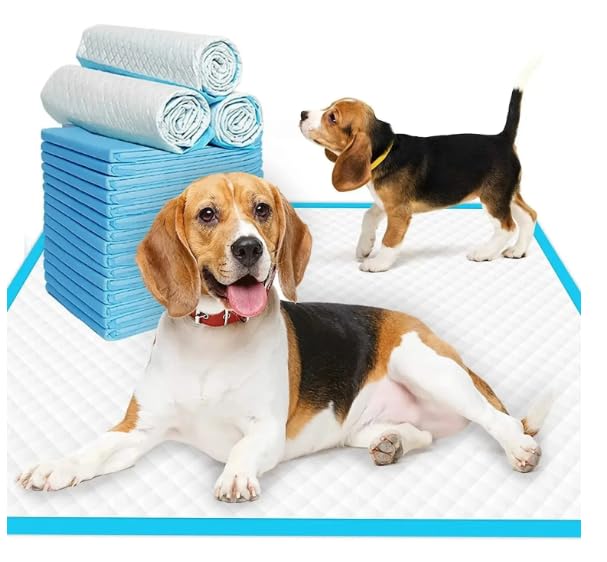 Dog Safety Pad to Keep your House Clean