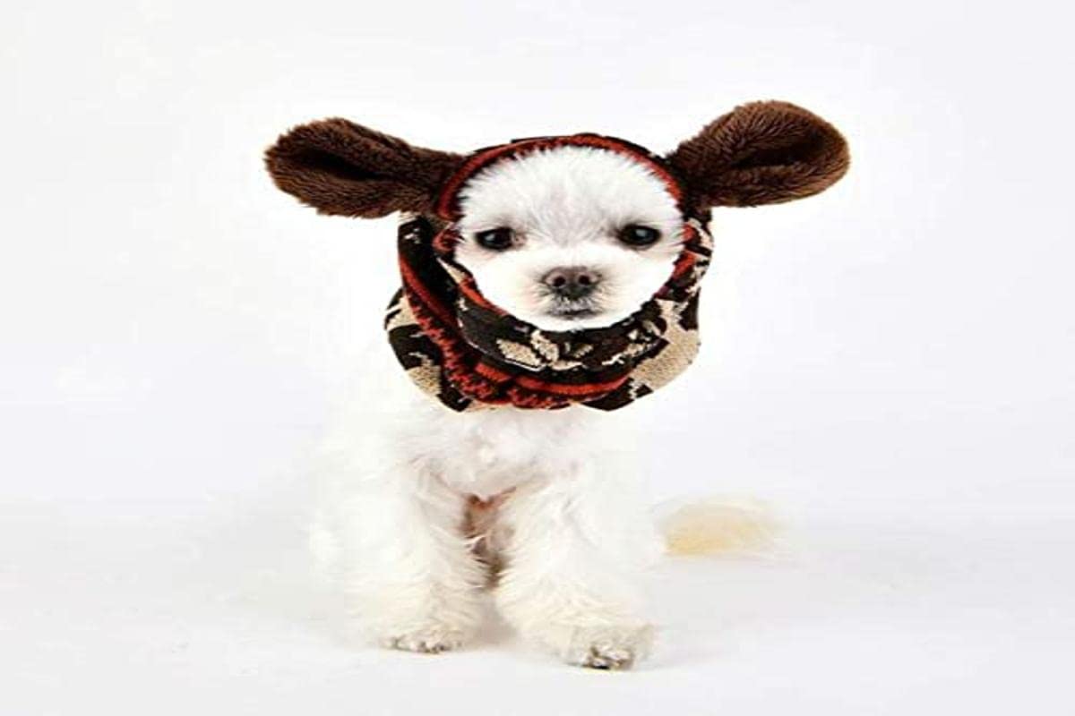 Puppia PASD-SN1655-BR-S Prancer Snood Winter Earmuffs for Dogs, S, Brown