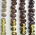 100% Pure Kona Private Reserve Coffee - 1 Pound Vienna Ground by Mountain Thunder Coffee Plantation