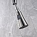 Rozin Single Handle Kitchen Sink Faucet Pull Out Spray Deck Mounted Mixer Tap Brushed Nickel