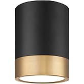 Z-Lite 1006F6-MB-MGLD-LED Algar Flush Mount, 1-Light 18 Watts, Matte Black + Modern Gold
