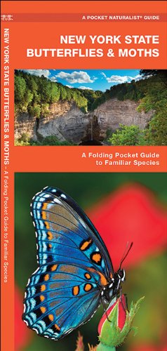 New York State Butterflies & Moths: A Folding Pocket Guide to Familiar Species (Pocket Naturalist Guide Series)