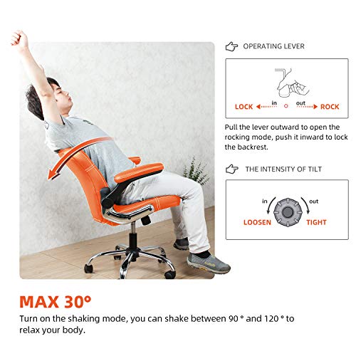 Myka's Ergonomic Leather Executive Office Chair High Back Computer Desk