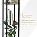 SHINE HAI Shelf Floor Lamp for Living Rooms,Bedrooms, Modern Standing Light with Asian Wood Frame Design, Open Box Display Shelves - Black