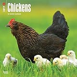 2017 Monthly Wall Calendar - Chickens