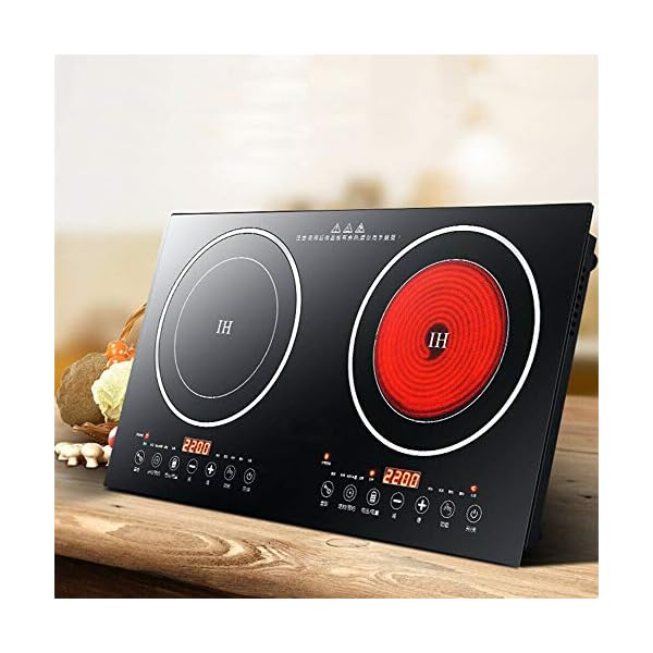 Portable Induction Cooktop 110V 8 Levels Electric Dual Induction
