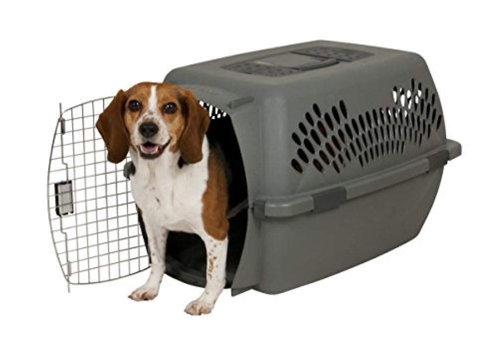 Houses, Kennels & Pens Light Gray 2530 LBS Petmate Aspen Pet Pet
