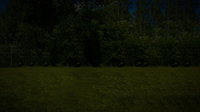 51C 2aWCWgL.jpg