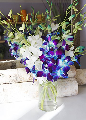 Starry Night in the Tropics: Bouquet of 5 Blue Dendrobium Orchids & 5 White Dendrobium Orchids from Thailand with Free Vase Included - Thumbnail 5