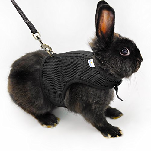 Niteangel Adjustable Soft Harness with Elastic Leash for Rabbits (L, Black)