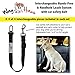 Wag Haus Hands Free Dog Leash & Dog Seatbelt - Bike Dog Leash and Running Dog Leash, Adjustable Belt from 30-52