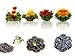 Tea Beyond Tea Samplers Assorted Fab Flowering tea 4 packs Earl Grey 20g Jasmine Green Tea 20g Caramel Black Tea 20g Non GMO No additives No flavors added Natural Tea Gift Set