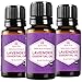 Lavender Oil USDA CERTIFIED ORGANIC Essential Oil by Leven Rose - Therapeutic Grade 100% Pure Natural Lavender For Skincare and Anti-Anxiety - 15 ml