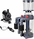 Xyclone Protein Skimmer