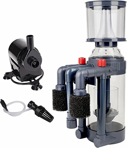 Xyclone Protein Skimmer