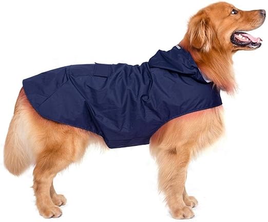 big dog raincoat