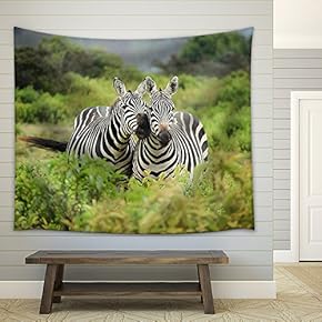a Sweet Pair of Zebra Living Together in Field - Fabric Wall Tapestry Home Decor - 51x60 inches