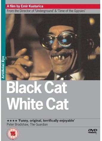 Black Cat White Cat 1998 Chat Noir Chat Blanc Schwarze